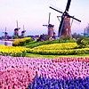 Kinderdijk Windmills-Landscapes